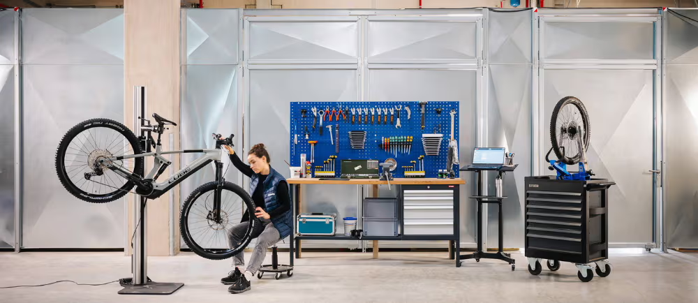Atelier Gaul-eBiker